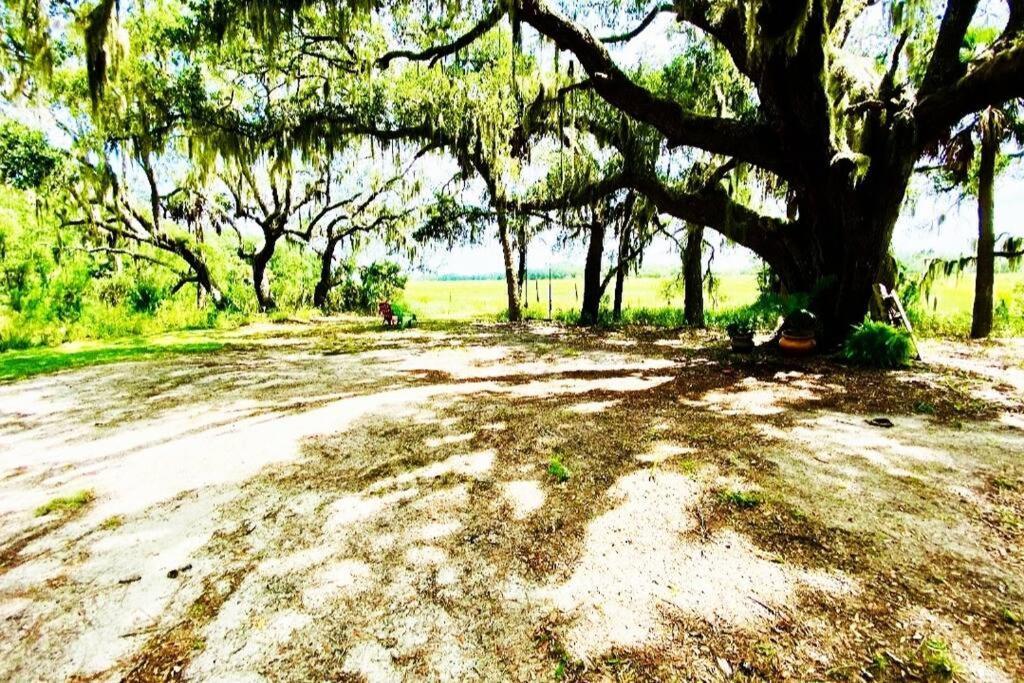 Secluded Tiny House By The Marsh With Hunting Island Beach Pass Frogmore Exterior foto